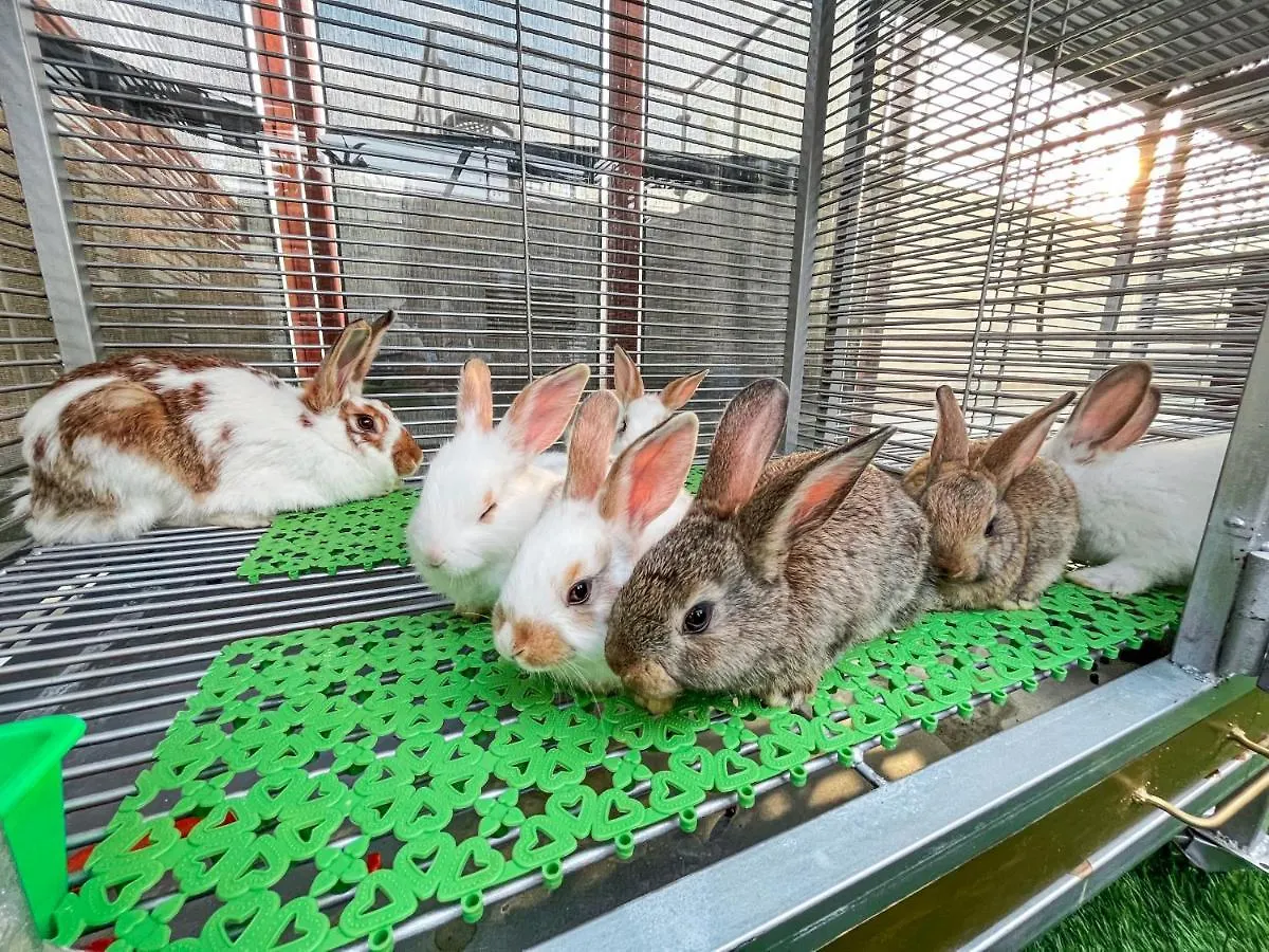 فندق اوشن بارك 4*, جدة